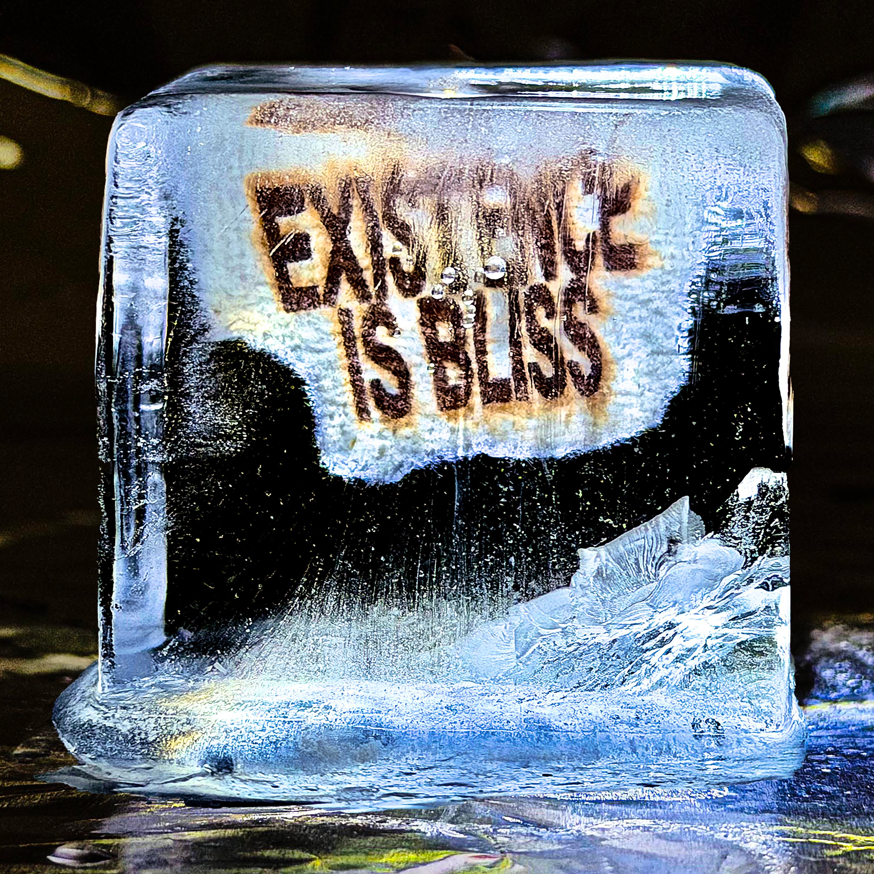 Existence is Bliss album cover