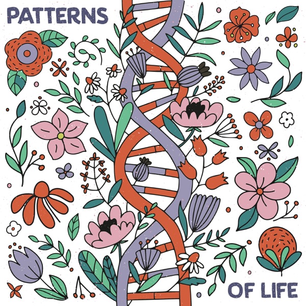 Patterns Of Life album cover