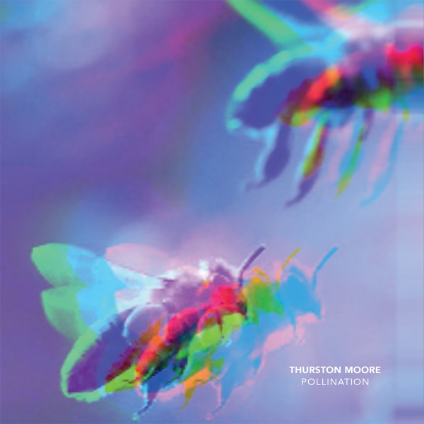 Pollination - Single album cover