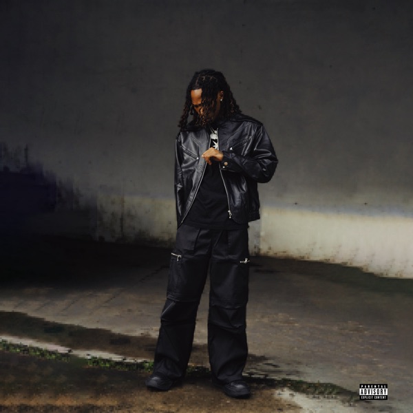 NO SIGNAL album cover