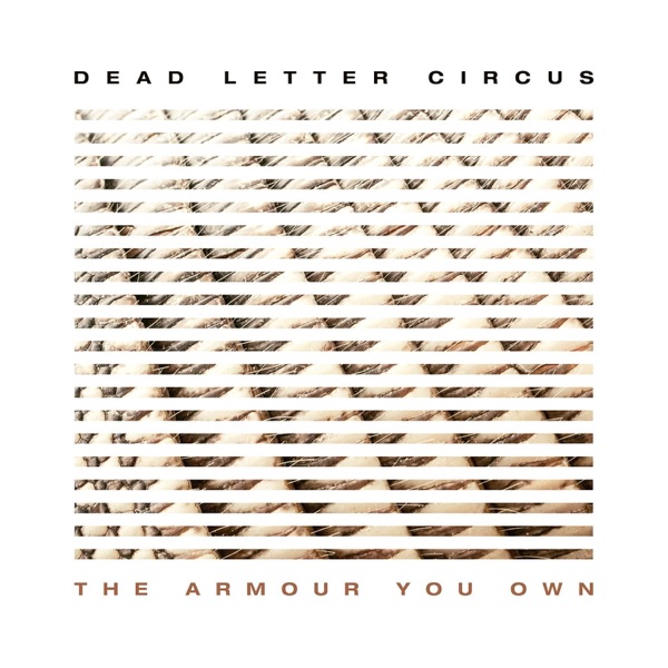 The Armour You Own - Single album cover
