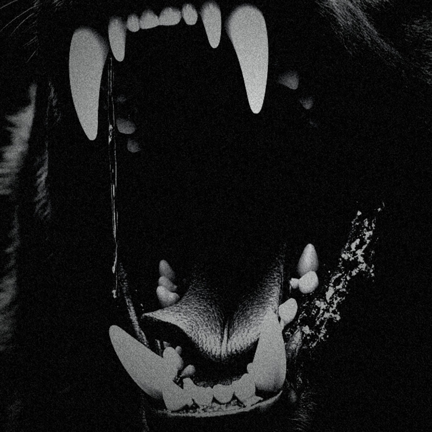 Dog Teeth - Single album cover