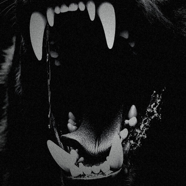 Dog Teeth - Single album cover