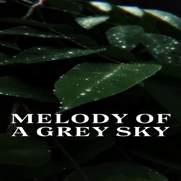 Melody of a Grey Sky - Single album cover
