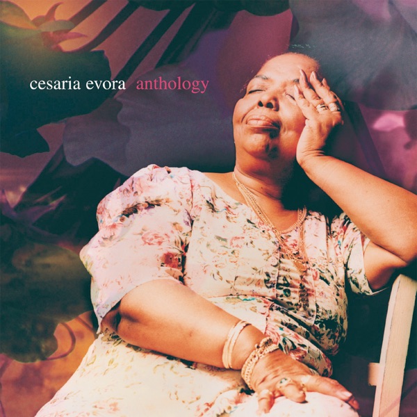 Anthology album cover
