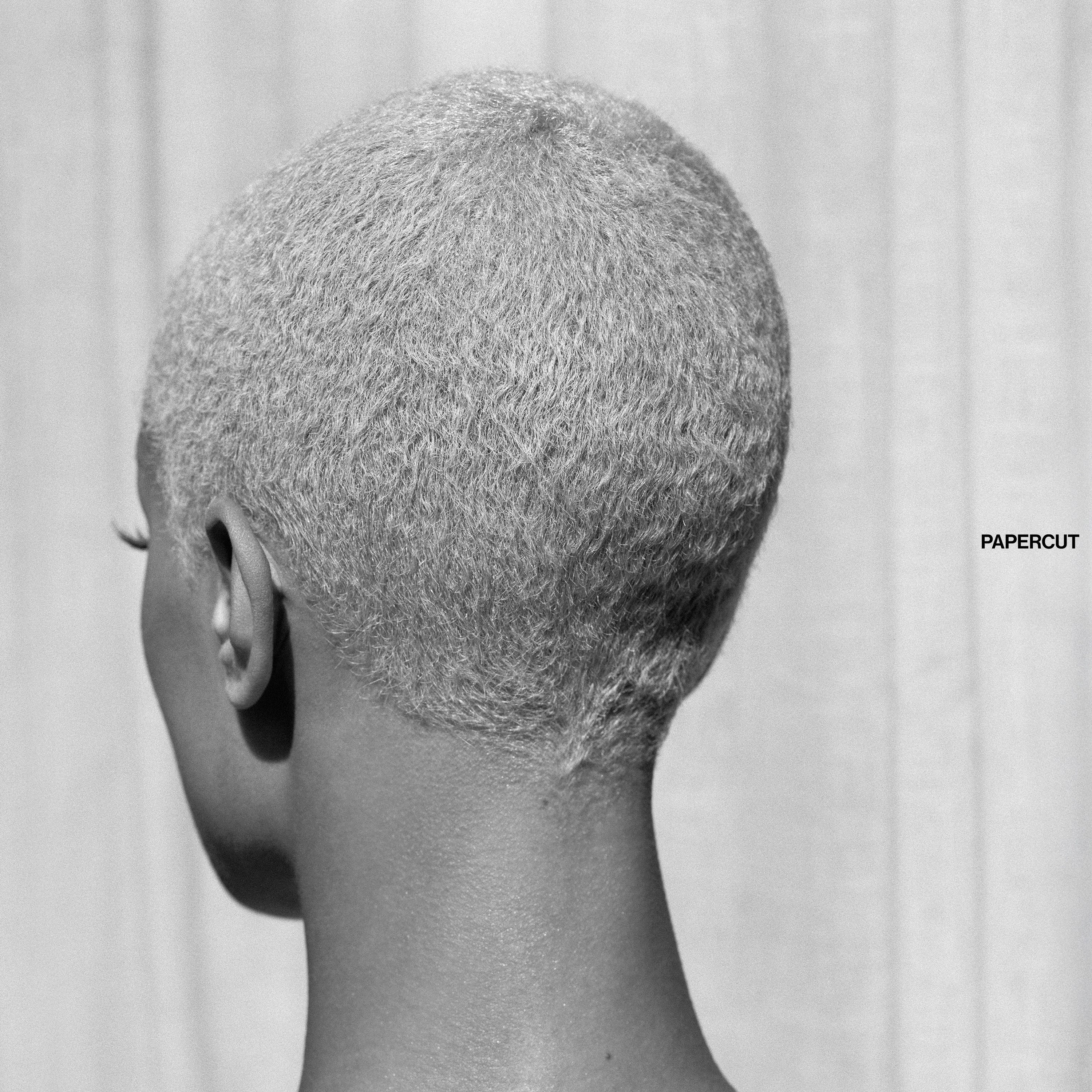 Papercut album cover
