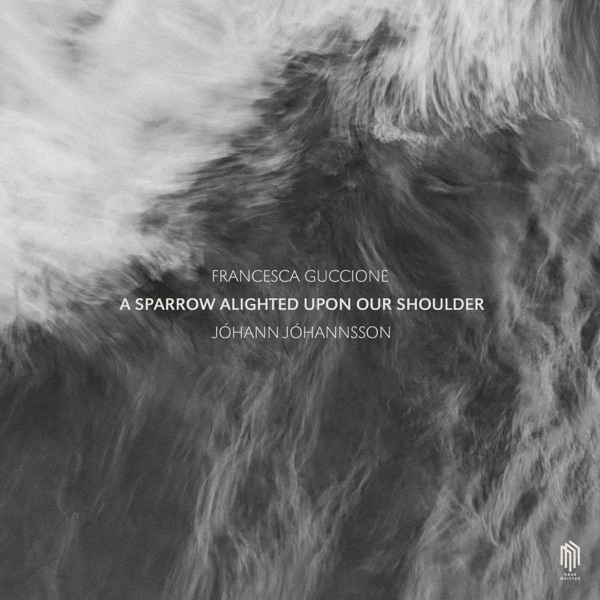 A Sparrow Alighted Upon Our Shoulder - Single album cover