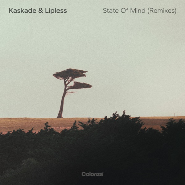 State of Mind (Remixes) - Single album cover