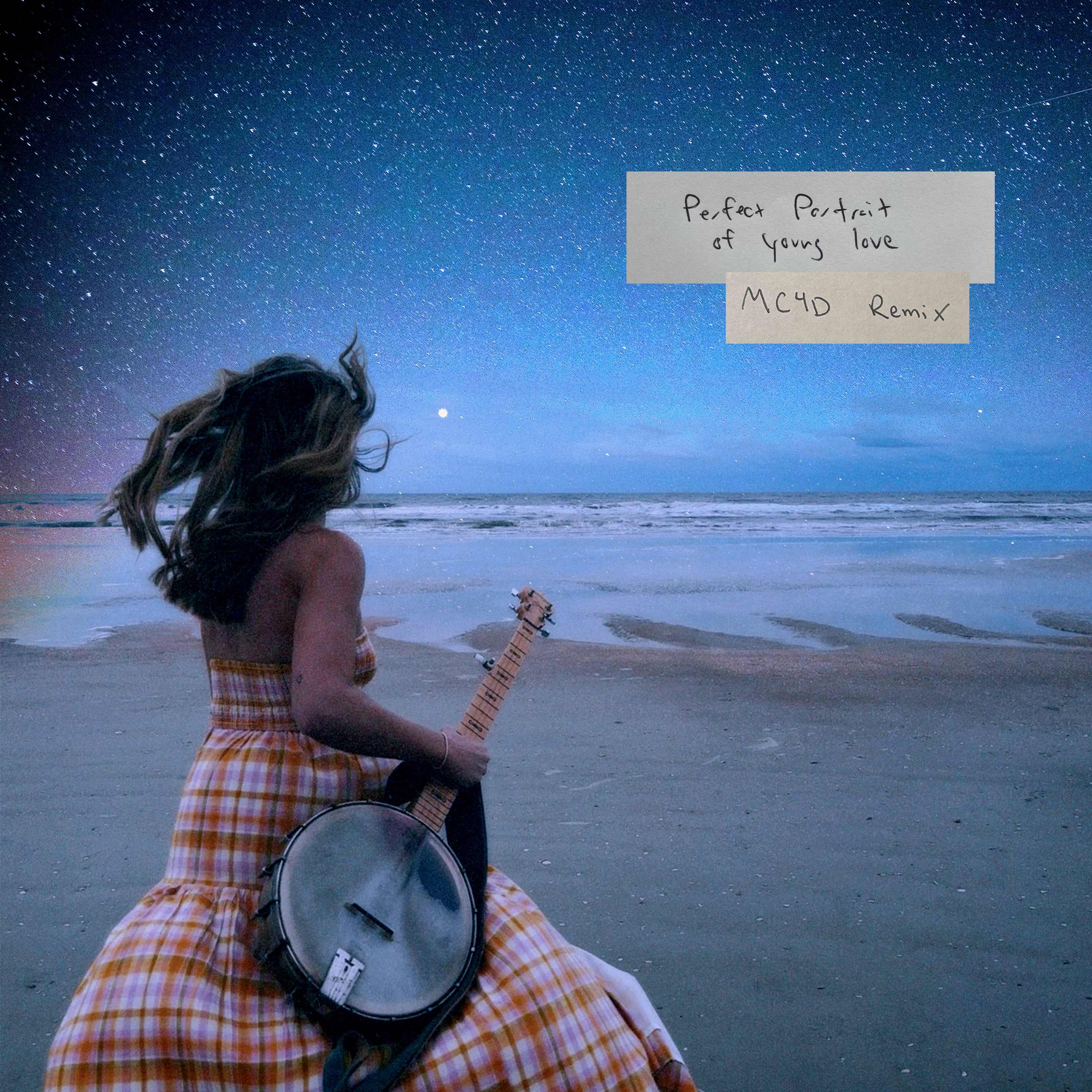 Perfect Portrait Of Young Love (MC4D Remix) - Single album cover