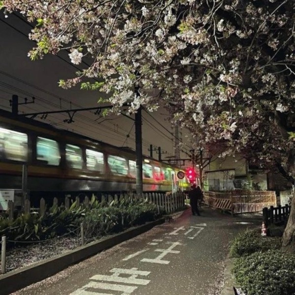 falling down (feat. Tera & vin0) - Single album cover