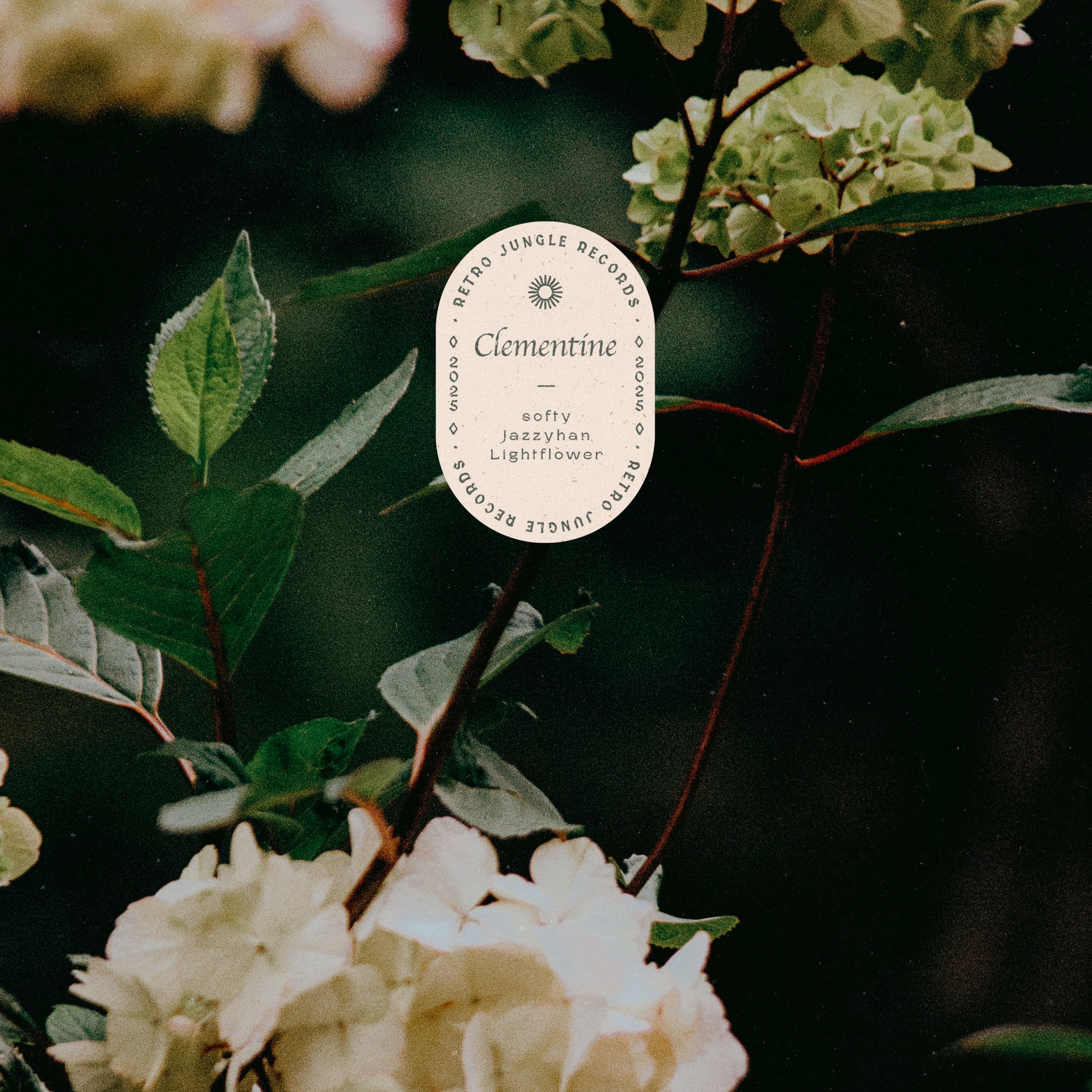 Clementine - Single album cover