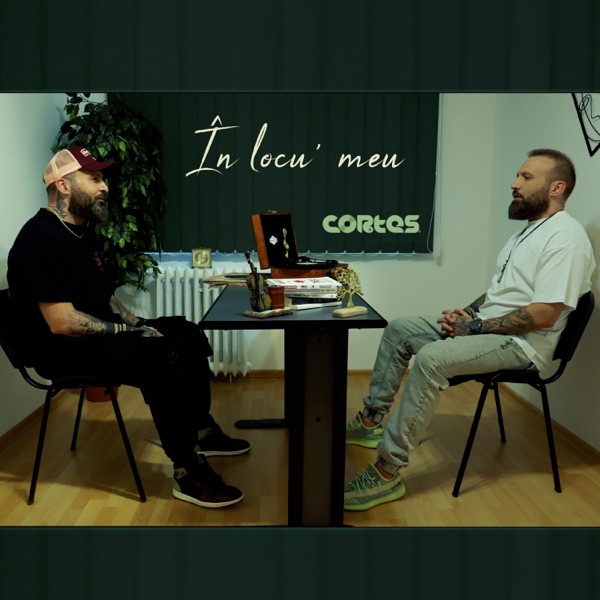 În locu' meu - Single album cover