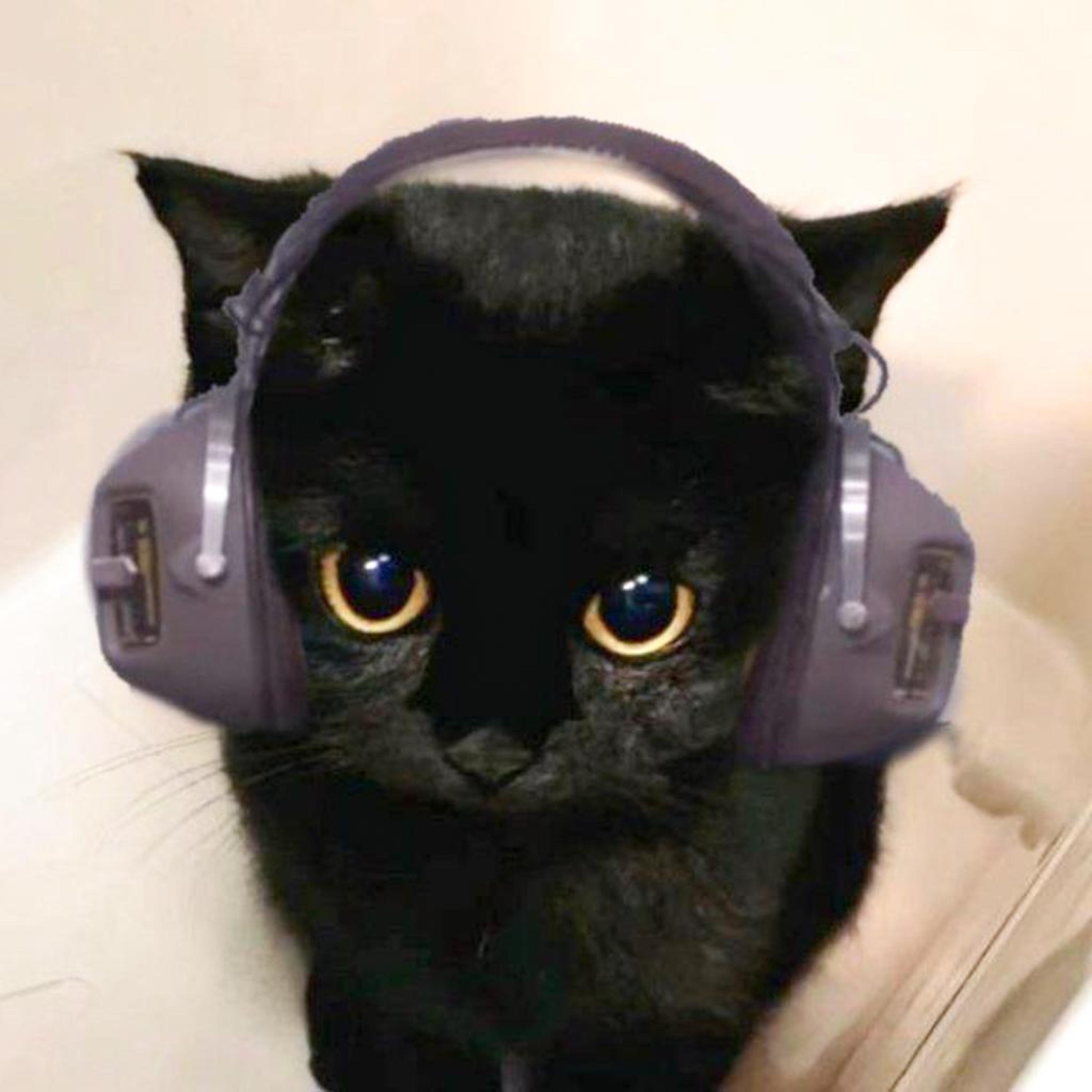 It'll Be Ok - Single album cover