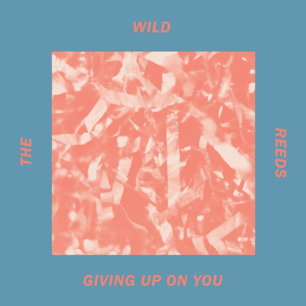 Giving Up On You - Single album cover