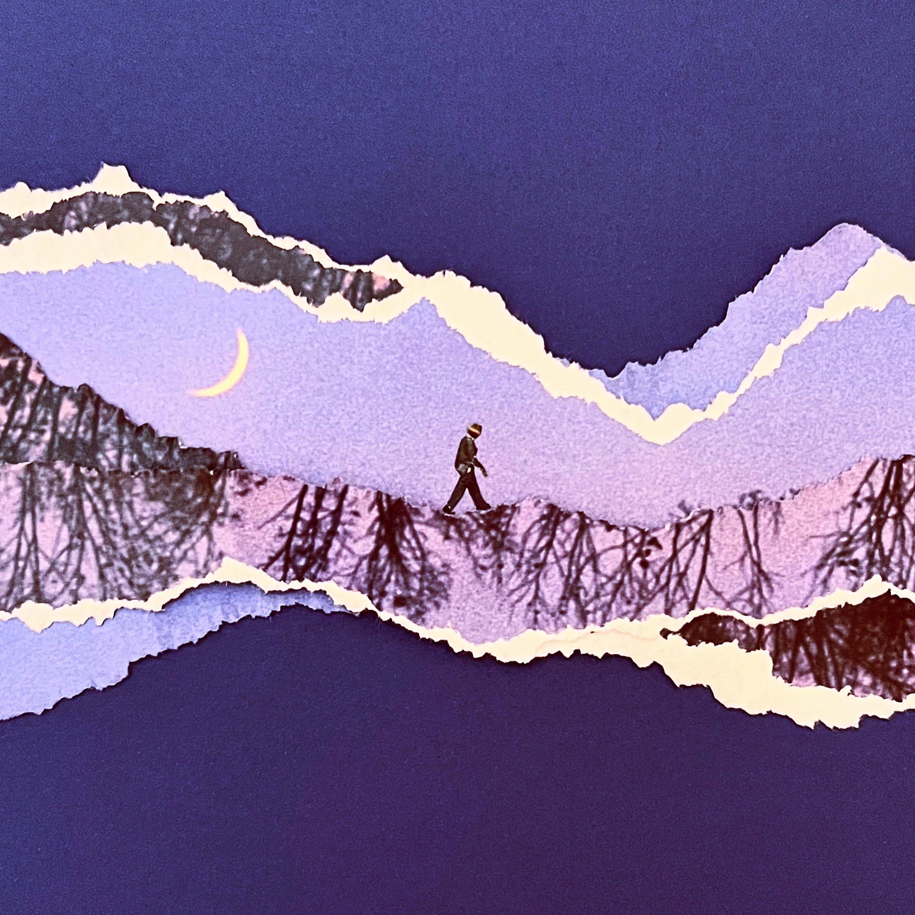 the forest ~ the trees album cover