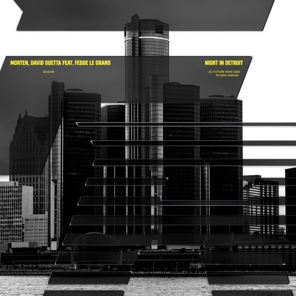 Night In Detroit (feat. Fedde Le Grand) - Single album cover