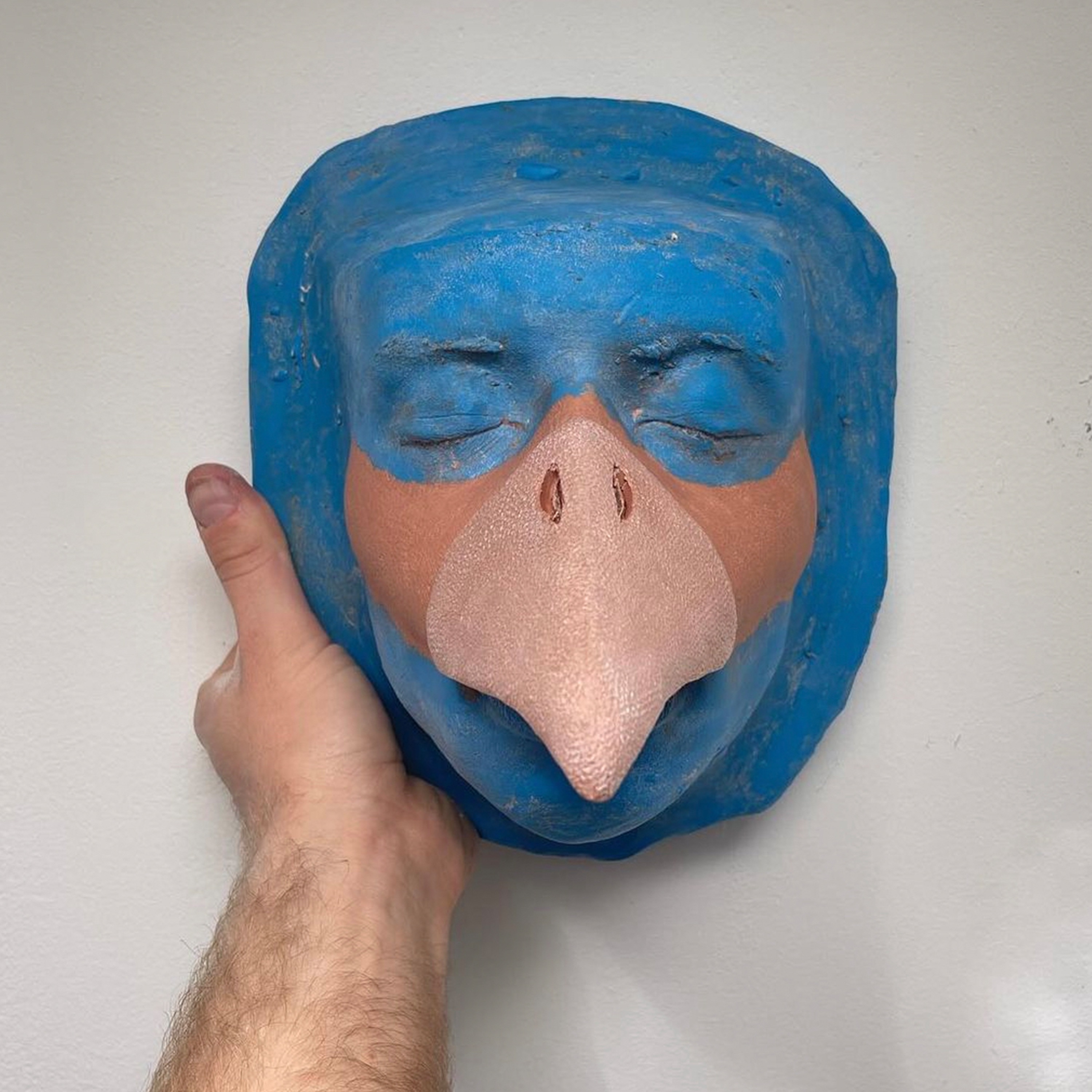 The Bird Song - Single album cover