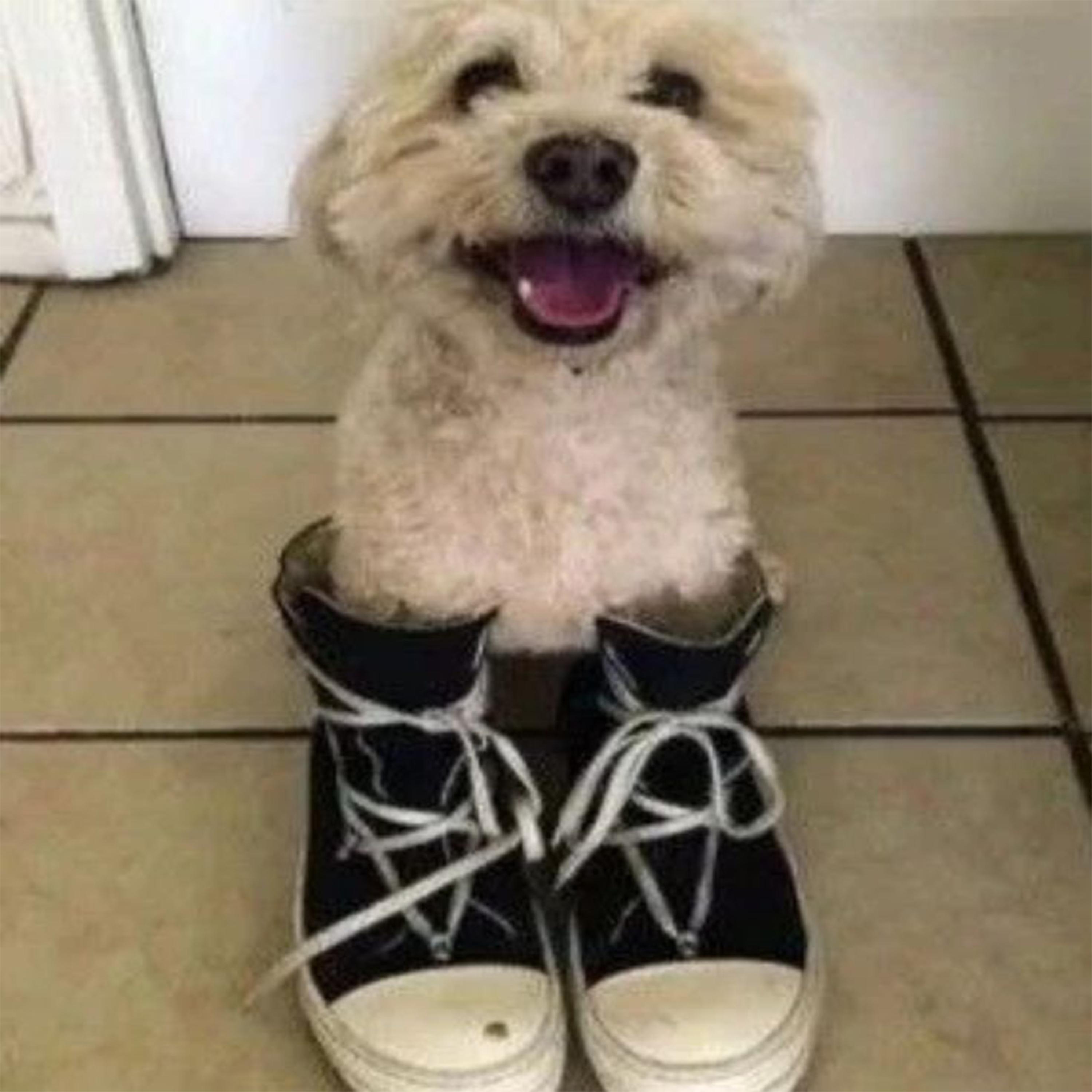 margiela! - Single album cover