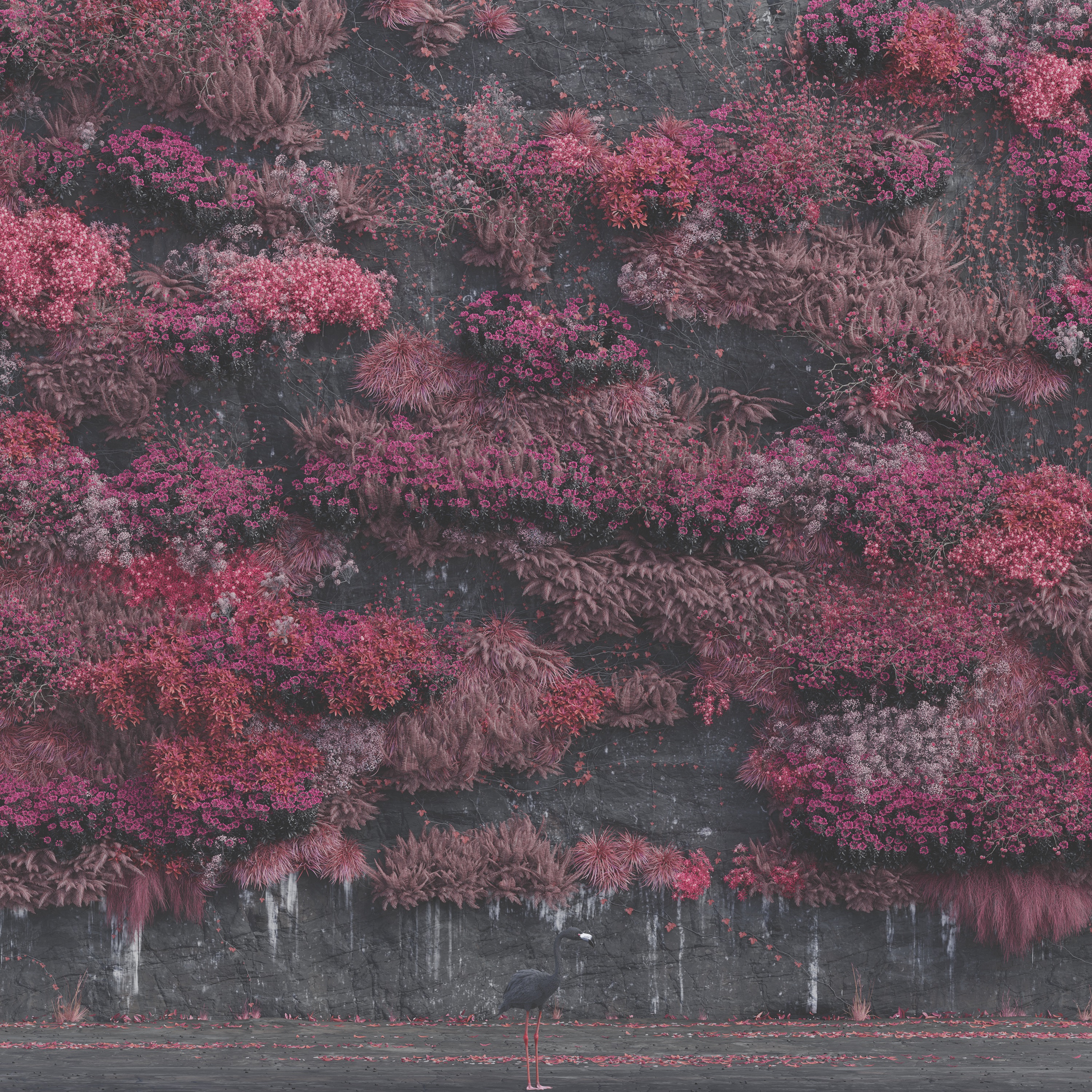 Even In Arcadia album cover