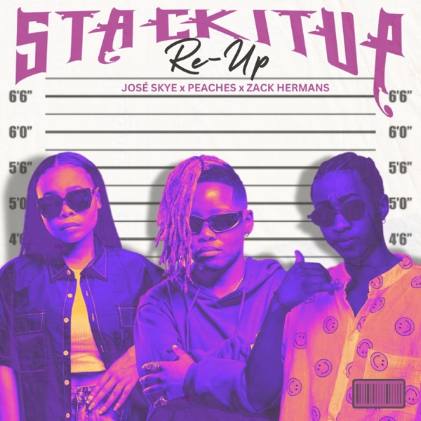 stackit(re)up. (feat. Peaches & Zack Hermans) - Single album cover