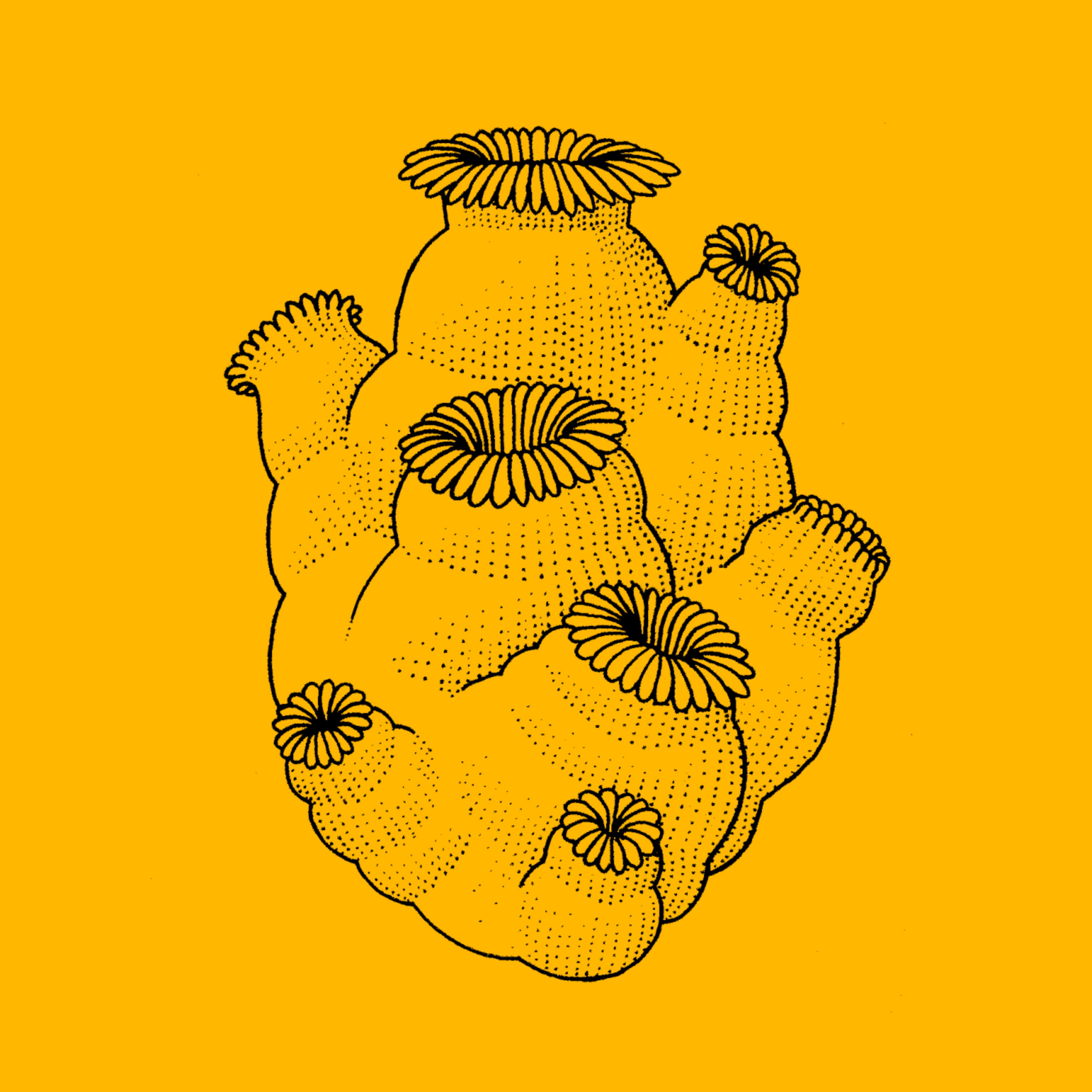 Bebé Durmiendo Cumbia - Single album cover