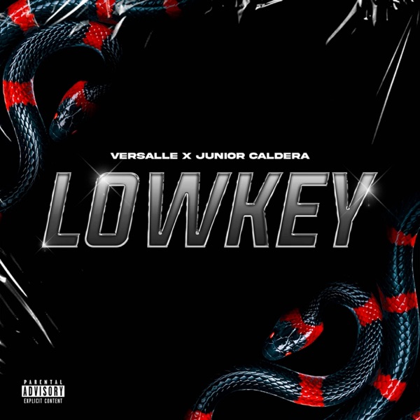 Lowkey - Single album cover