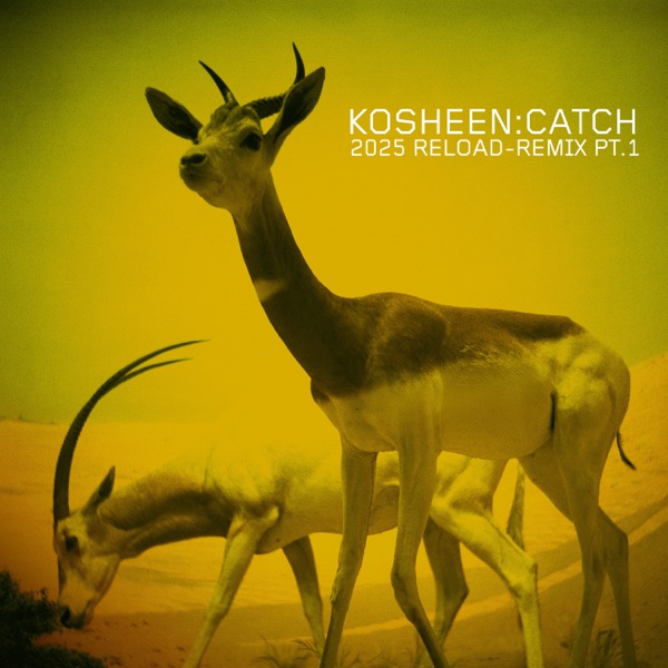 Catch (2025 Reload-Remix, Pt.1) - Single album cover