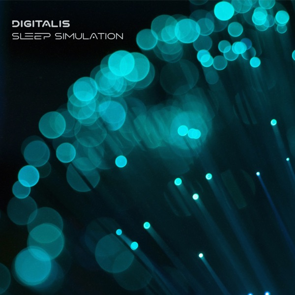Sleep Simulation - Single album cover