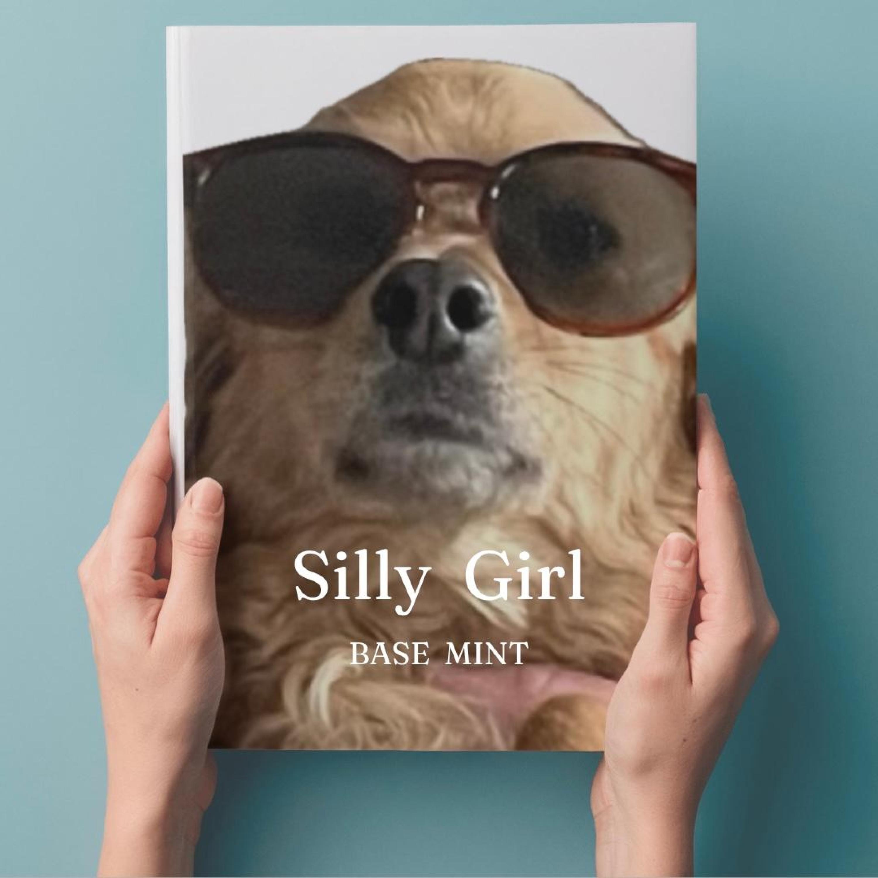 Silly Girl - Single album cover
