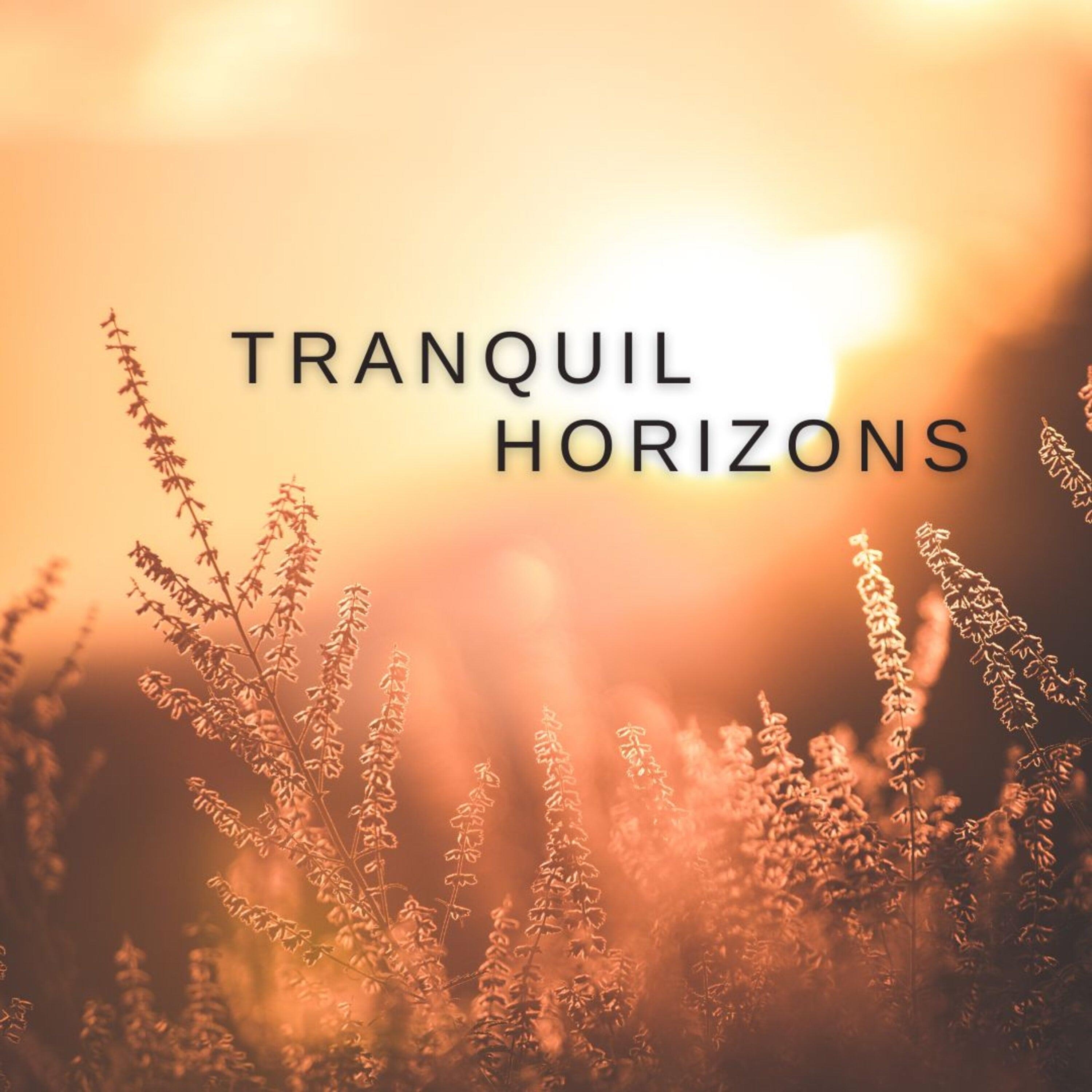 Tranquil Horizons album cover