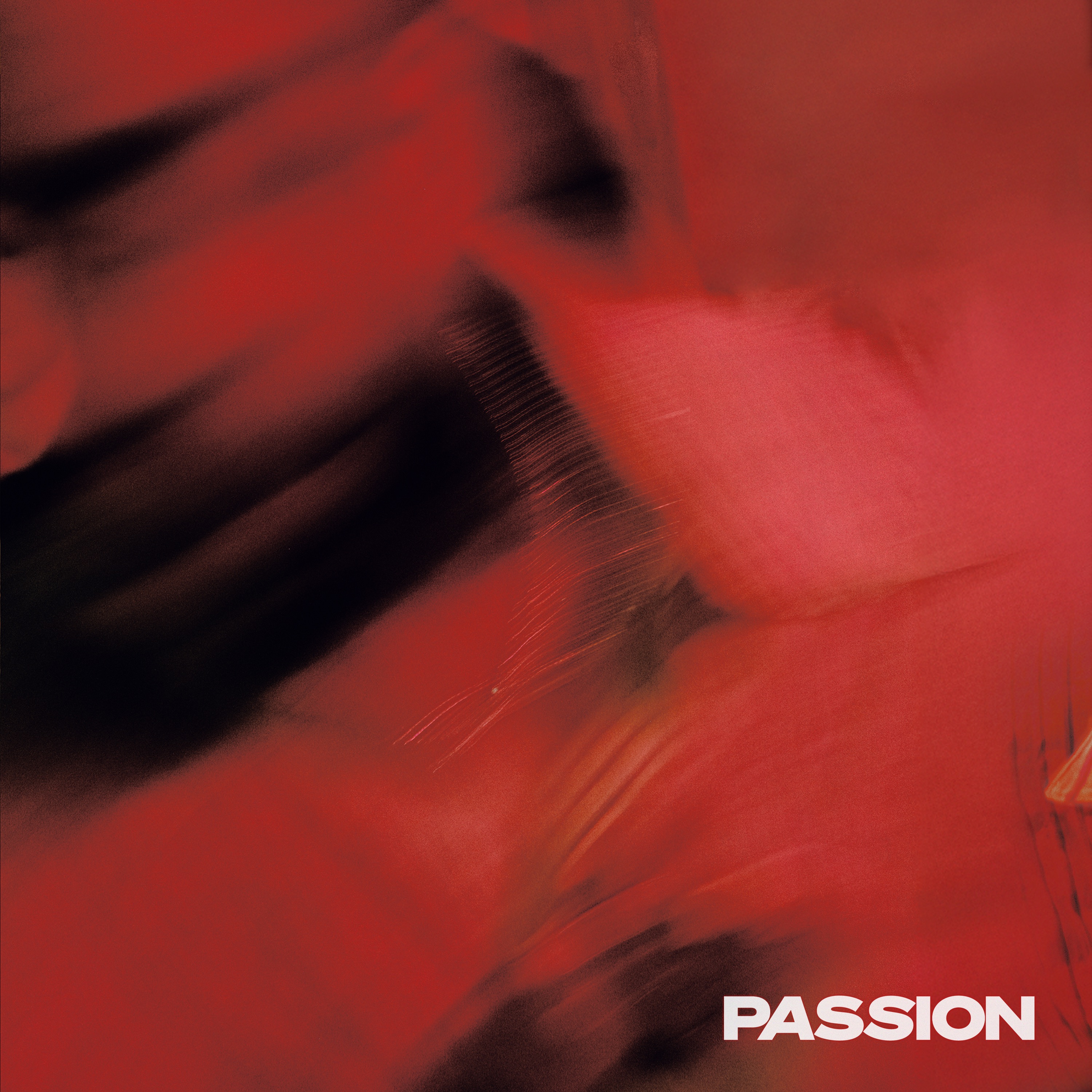 PASSION album cover