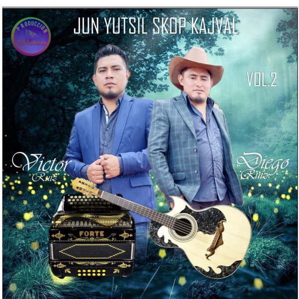 Vivir cantando album cover