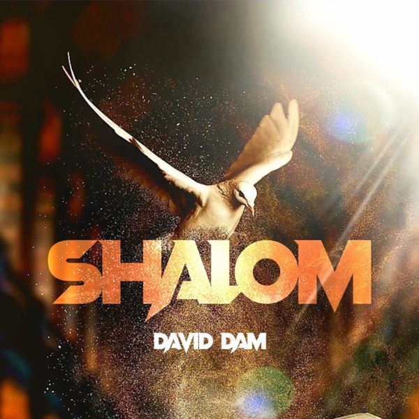 Shalom - Single album cover