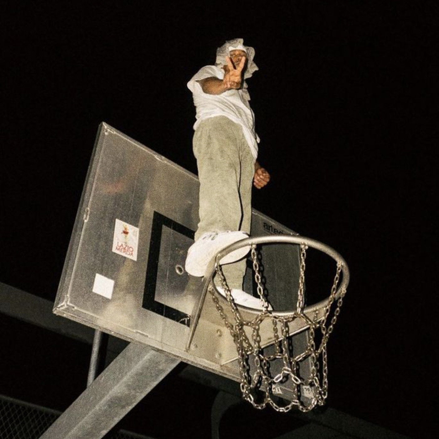 A Bird's Last Look - Single album cover