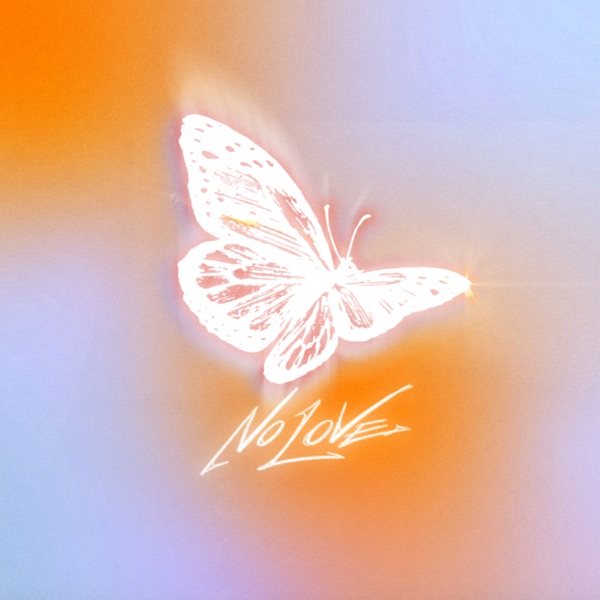NO LOVE - Single album cover