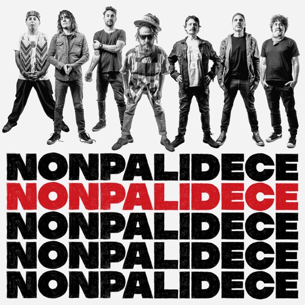 Nonpalidece album cover