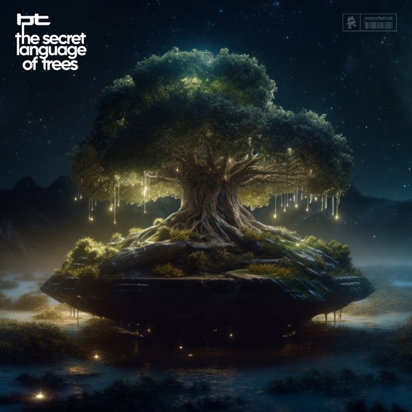 The Secret Language Of Trees album cover