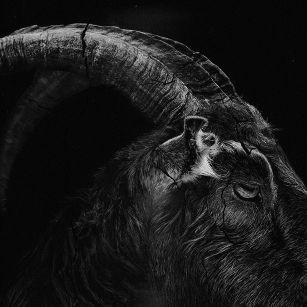 Satanic - Single album cover