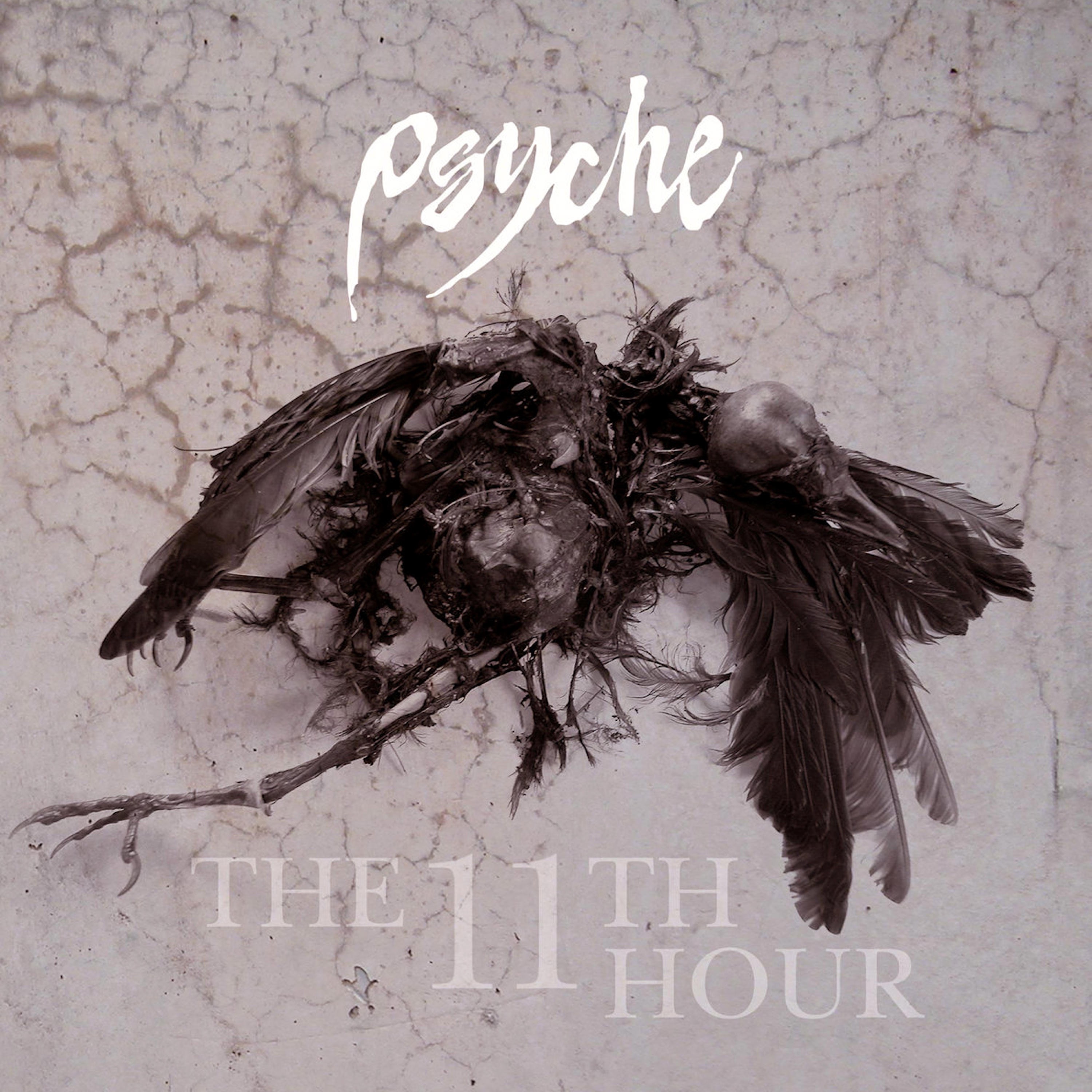 The 11th Hour album cover