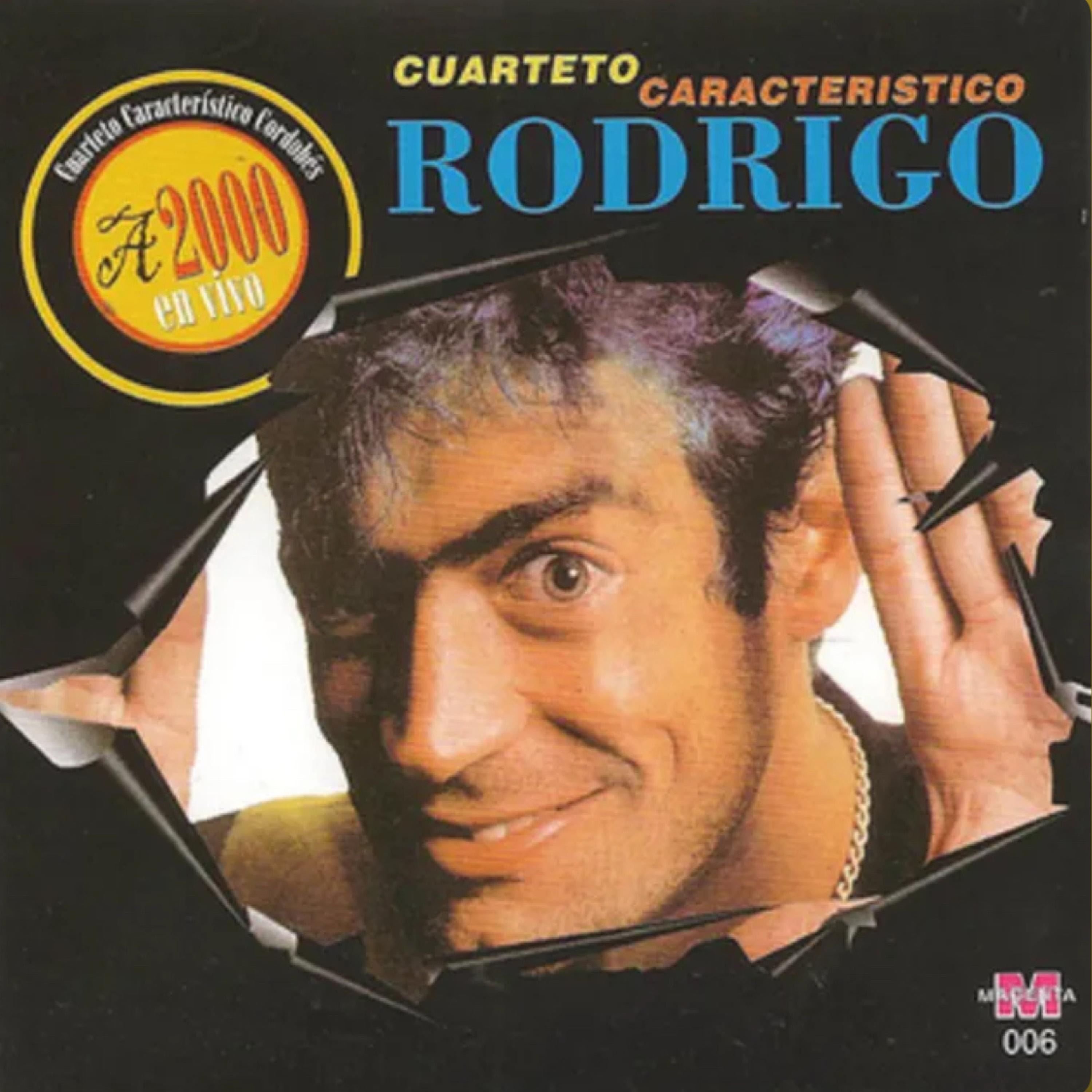 Que Ironia - Single album cover