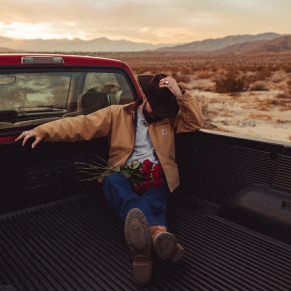 2 Dozen Roses - Single album cover