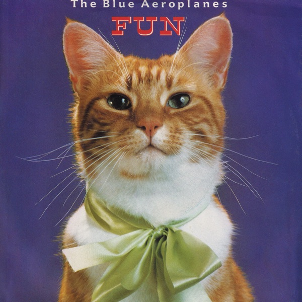 Fun - Single album cover