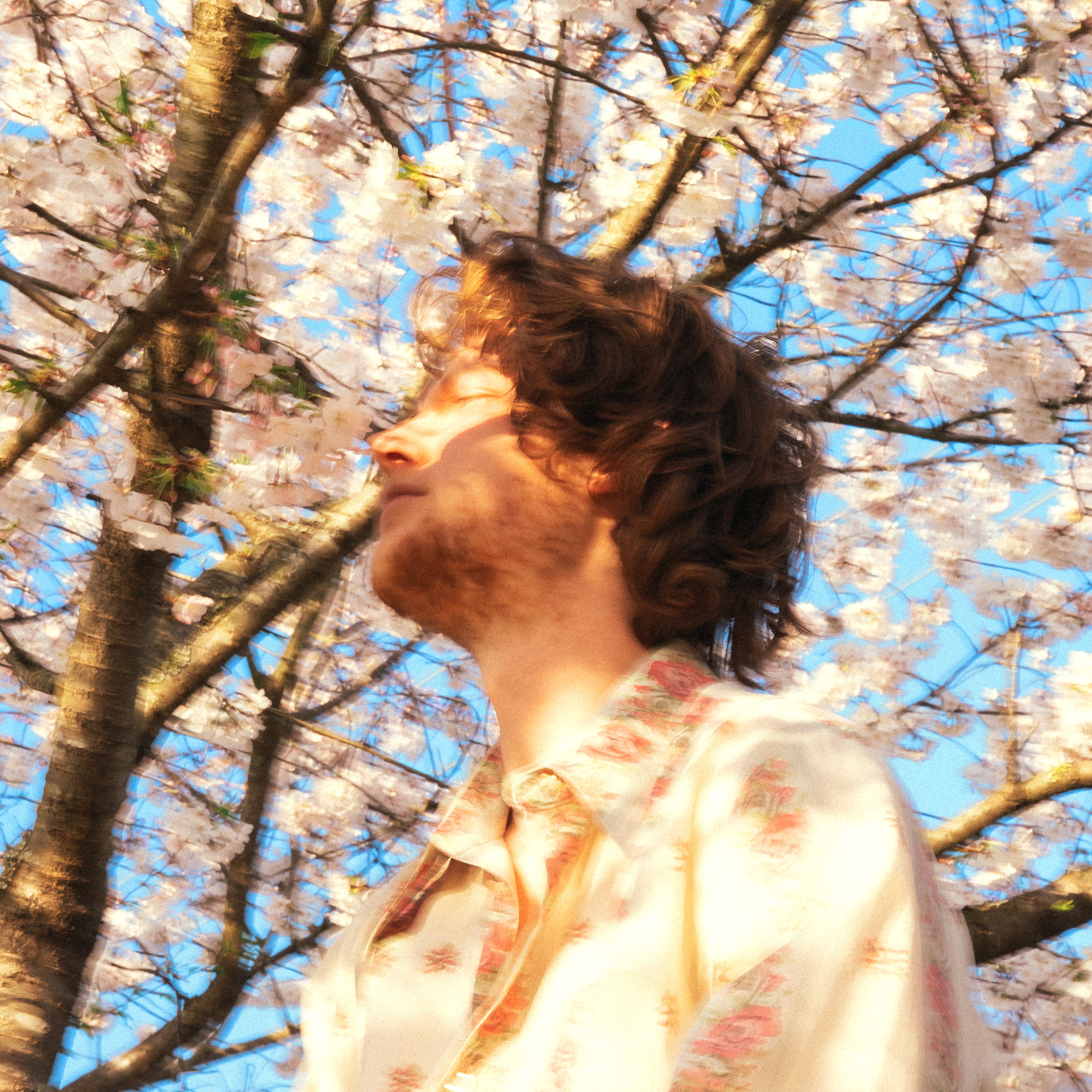 Fruit from the Trees album cover