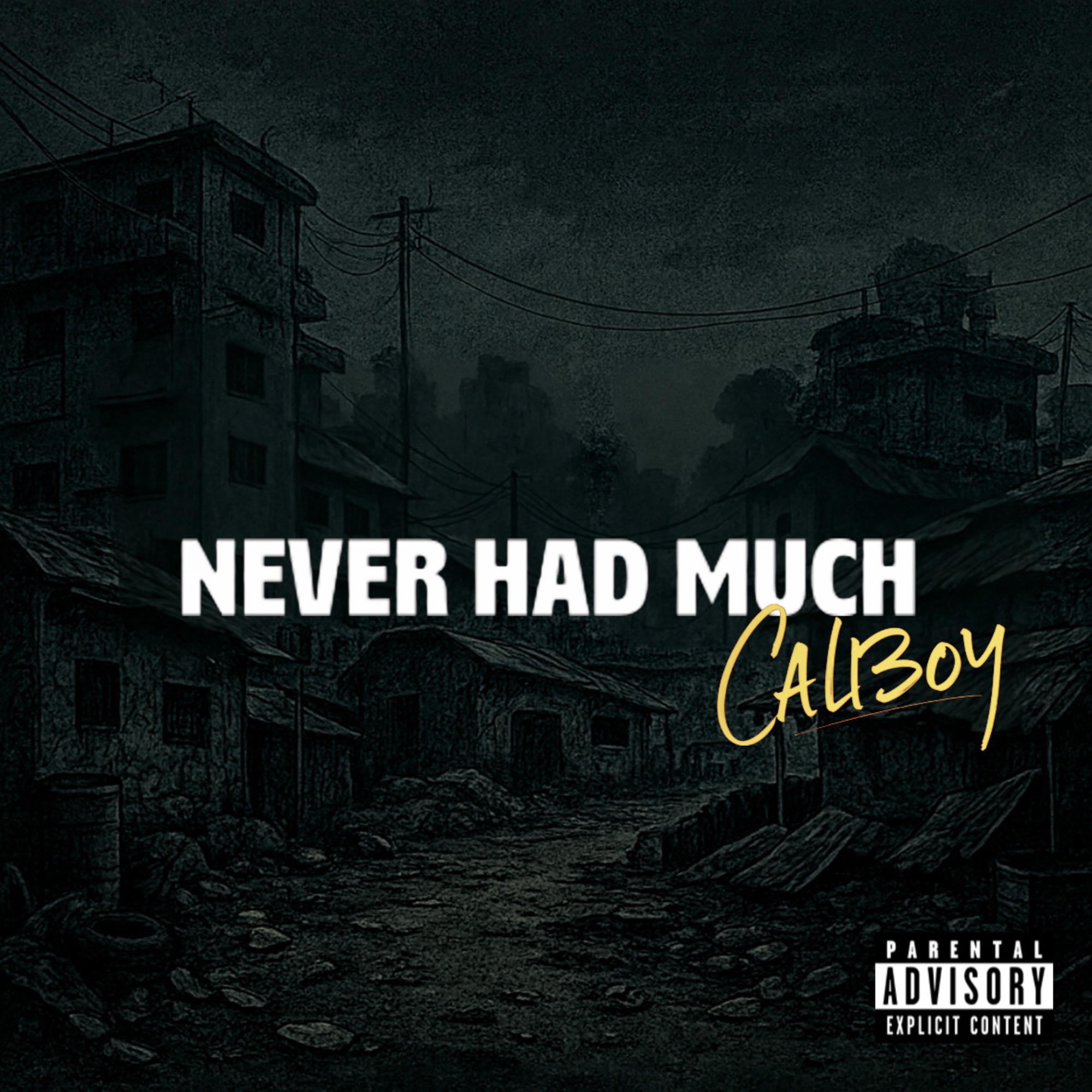 Never Had Much - Single album cover