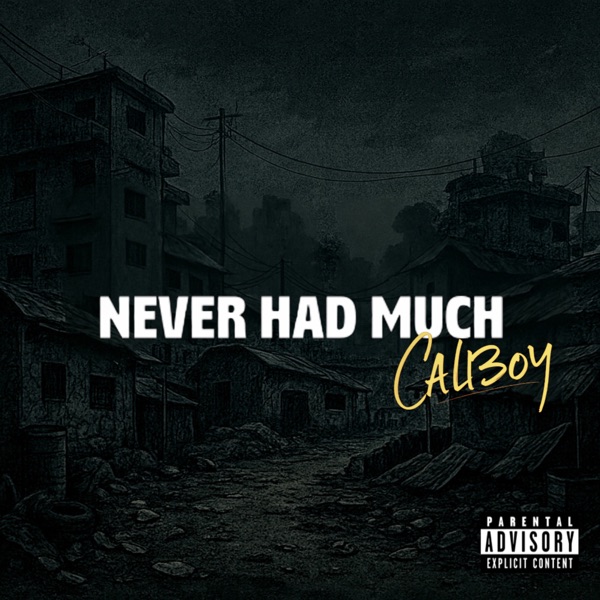 Never Had Much - Single album cover