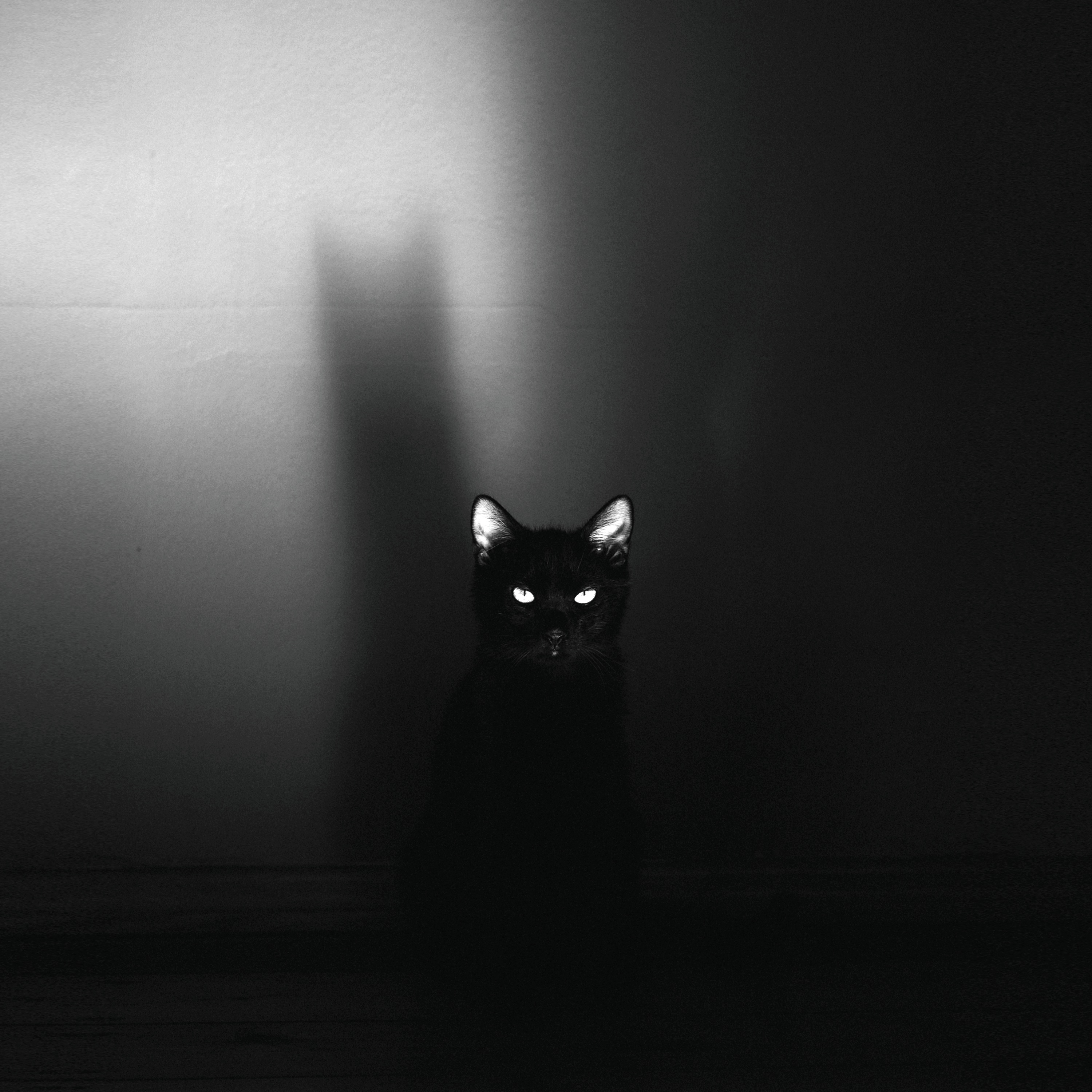 I Promise Myself - Single album cover