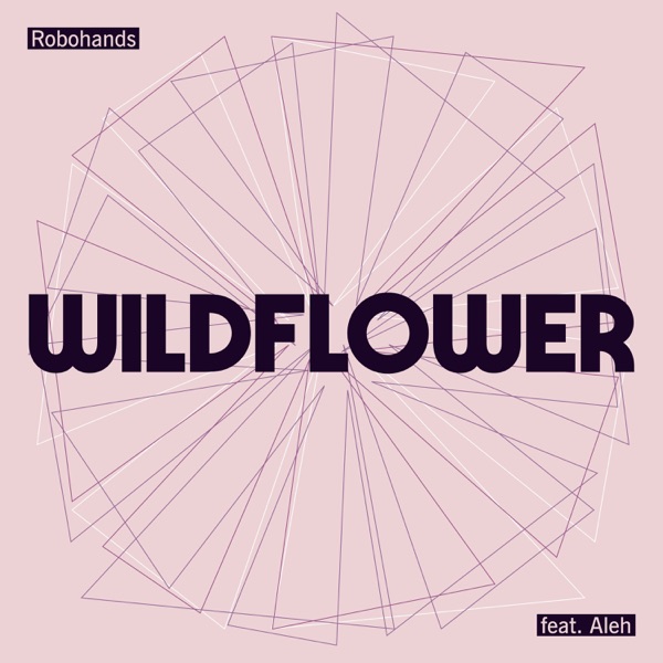 Wildflower (feat. Aleh) - Single album cover