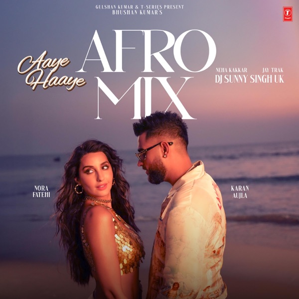 Aaye Haaye (Afro Mix) - Single album cover