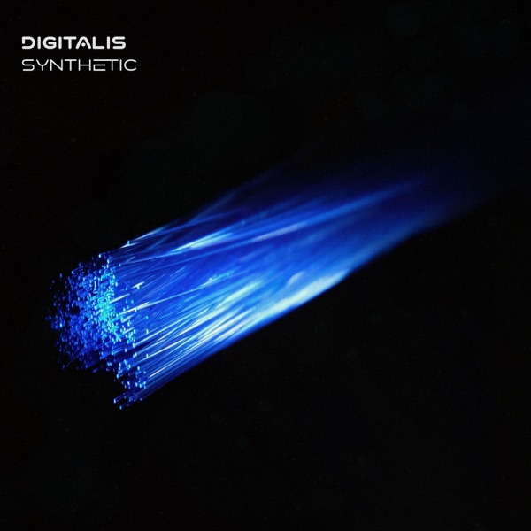 Synthetic - Single album cover