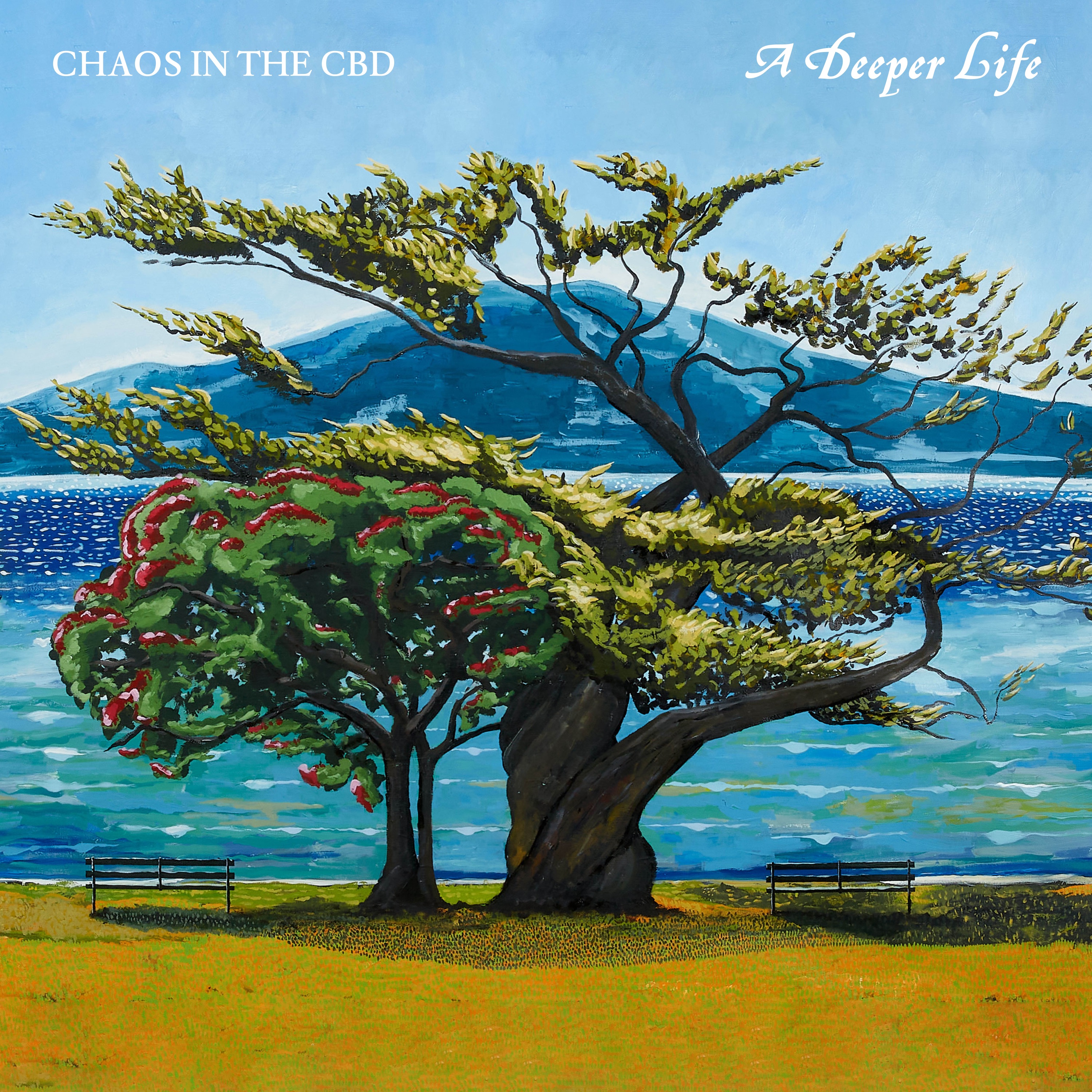 A Deeper Life album cover